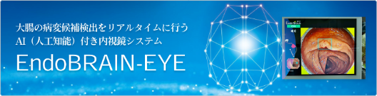 大腸の病変候補検出をリアルタイムに行うAI(人工知能)付き内視鏡システム EndoBRAIN-EYE